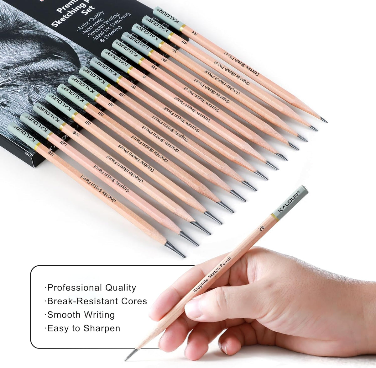 KALOUR 18-Piece Professional Sketch Pencil Set - Includes 5H to 14B Pencils, Vinyl Eraser, Kneaded Eraser,Sharpener and Paper Blending Stump - Ideal
