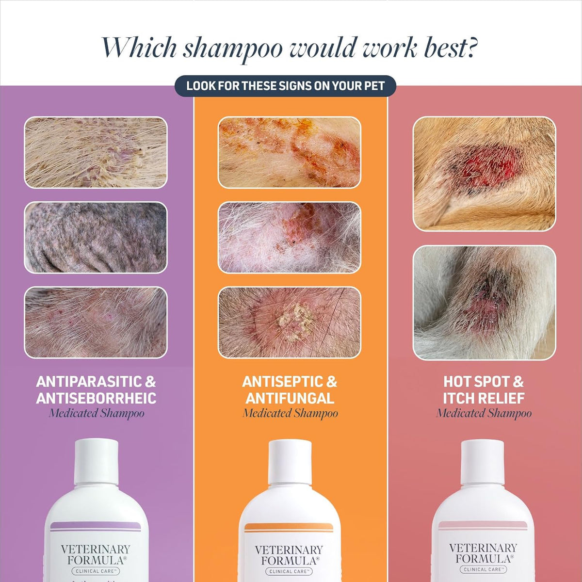Veterinary Formula Clinical Care Antiseptic and Antifungal Medicated Shampoo for Dogs & Cats, 16 Fl Oz – Helps Alleviate Scaly, Greasy, red Skin