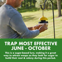 Spectracide Wasp, Hornet & Yellowjacket Trap, Hanging Wasp & Hornet Trap with a Quick-Drown Formula That Submerges & Kills Insects, 1 Count