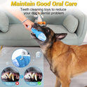 WinTour Tough Dog Toys for Aggressive Chewers, Indestructible Dog Chewers for Medium & Large Breeds, Squeaky Durable Chew Toys to Keep Them Busy