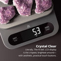 Greater Goods Digital Food Scale for Kitchen & Baking, 10kg/22lb High-Capacity Weight Scale with 1g Precision, Stainless Steel Platform, Hi-Def LCD