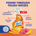 Lysol All Purpose Cleaner Spray, Multi-Purpose Disinfecting Spray, Kitchen & Bathroom Cleaner, Mango & Hibiscus Scent, 32 Fl Oz