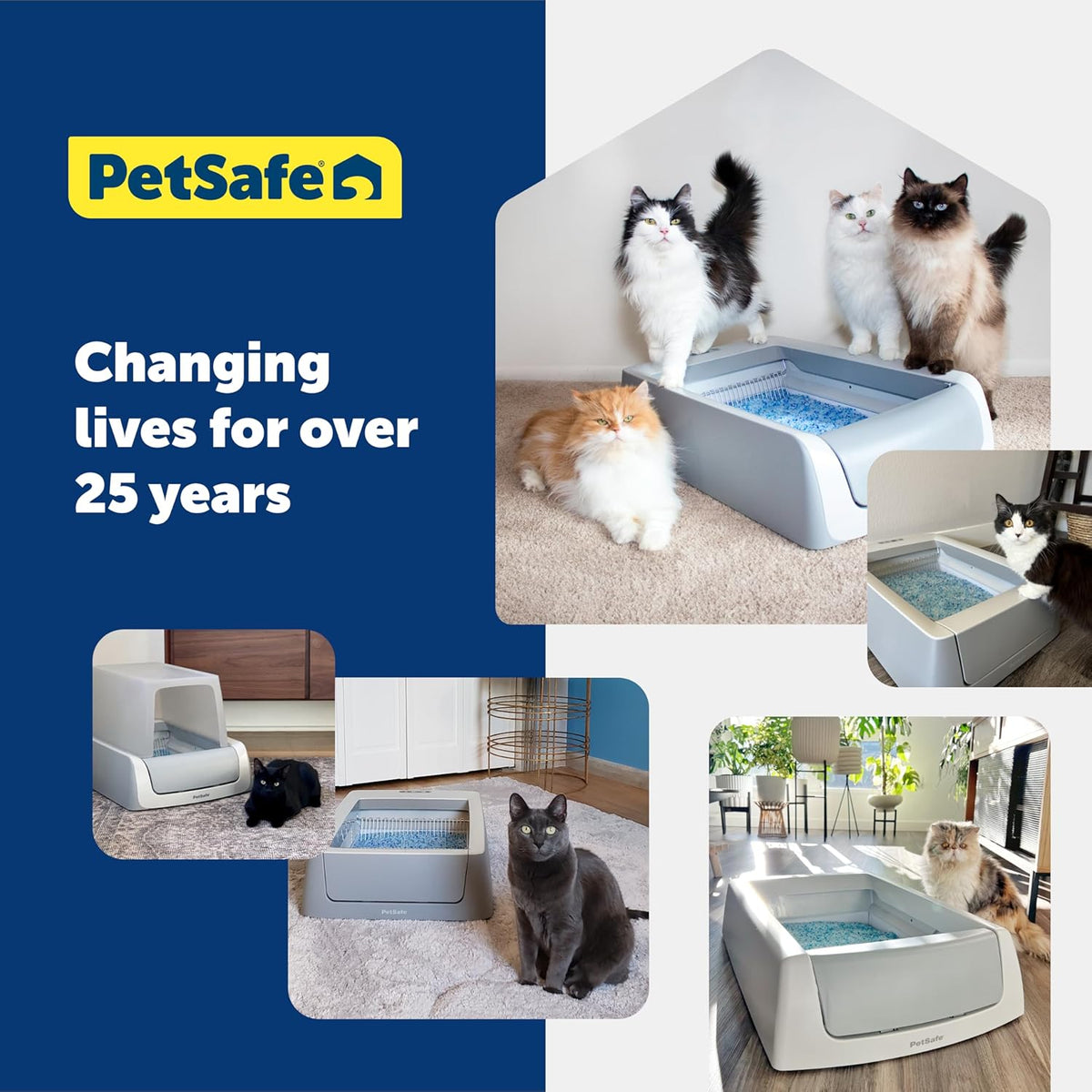 PetSafe ScoopFree Premium Crystal Cat Litter - Outperforms Clay Litter - Less Tracking, Dust for A Fresh Home - Non-Clumping - Two 4.3 lb Bags of