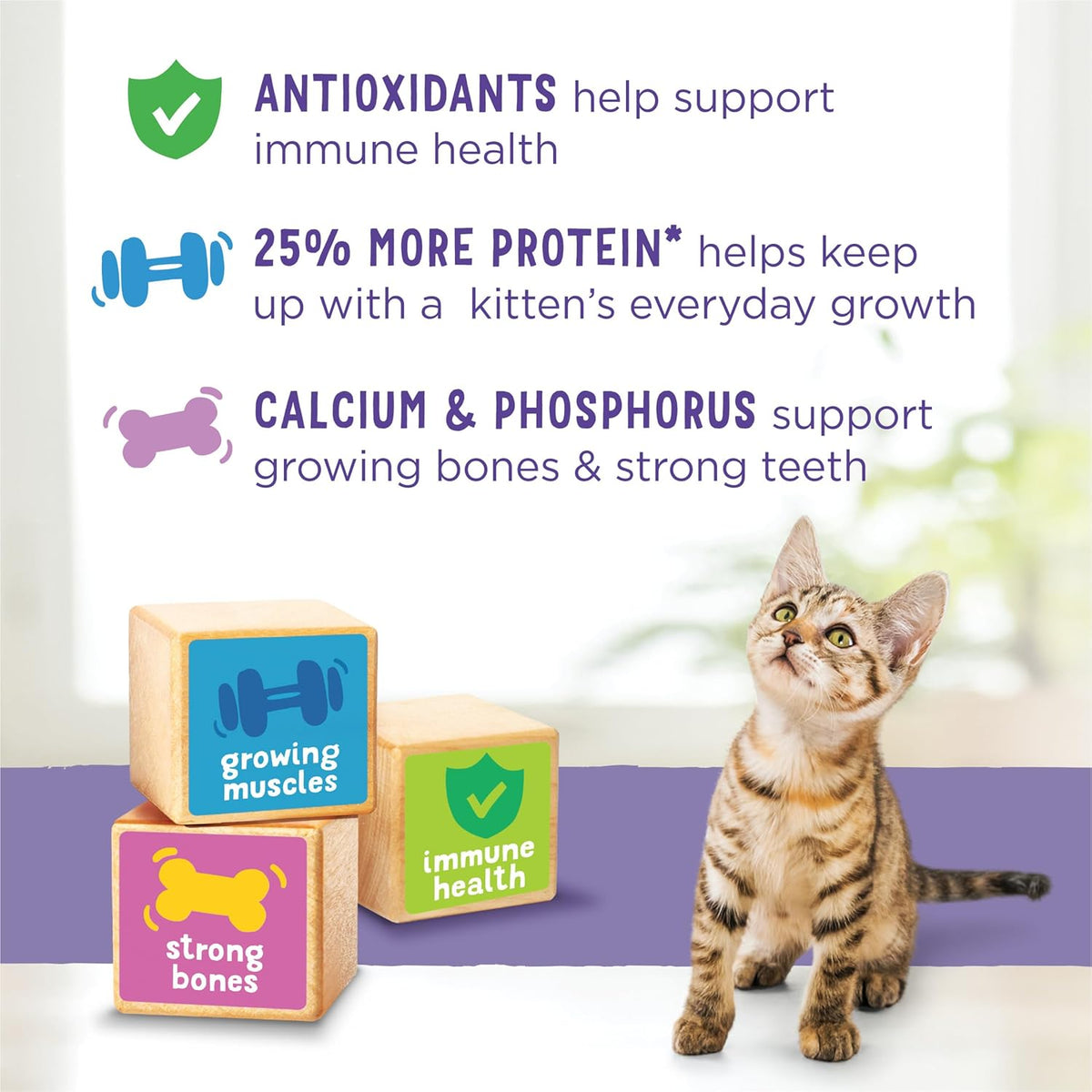 Purina Kitten Chow 14lb
