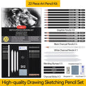 PANDAFLY Drawing Sketching Pencil Set, 22 Piece Pro Art Pencil Kit - Graphite Pencils (12B-2H), Black and White Charcoal Pencils, Charcoal Sticks