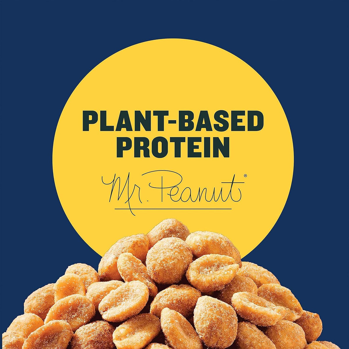 PLANTERS Honey Roasted Peanuts, Dry Roasted Peanuts, Party Snack, Plant-Based Protein, After School Snack, Sweet and Salty, Salted Nuts, Sea Salt