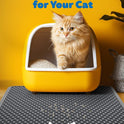Cat Litter Mat - 23.2'' x 14.6'' Small Litter Trapping Mat, Easy to Clean Litter Box Mat, Waterproof, Urine-Proof, Non-Slip Kitty Litter Mats for