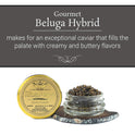 OVERNIGHT SHIPPING - OLMA Beluga Hybrid Black Caviar - Rated Top Caviar in the World - 0.5 oz / 14 g