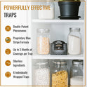 Dr. Killigan's Premium Double Potent Pantry Moth Traps with Pheromones Prime, Sticky Indian Meal Moth Traps for Kitchen, How to Get Rid of Moths