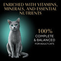 Sheba Perfect Portions Wet Cat Food Pate with Sustainable Salmon, Signature Seafood Entree, and Tender White Fish and Tuna Entree Variety Pack, 2.6