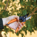 Fiskars Bypass Pruning Shears, 5/8-Inch Cut Capacity SoftGrip Hand Pruner for Small Hands, Blade Stays Sharp Through Heavy Use with Rust Resistant