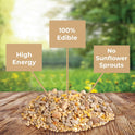 Kaytee Wild Bird (No Mess or Waste Free) Food Seed Blend For Blue Jays, Woodpeckers, Juncos, Cardinals, Grosbeaks, Sparrows, and Finches, 10 Pound