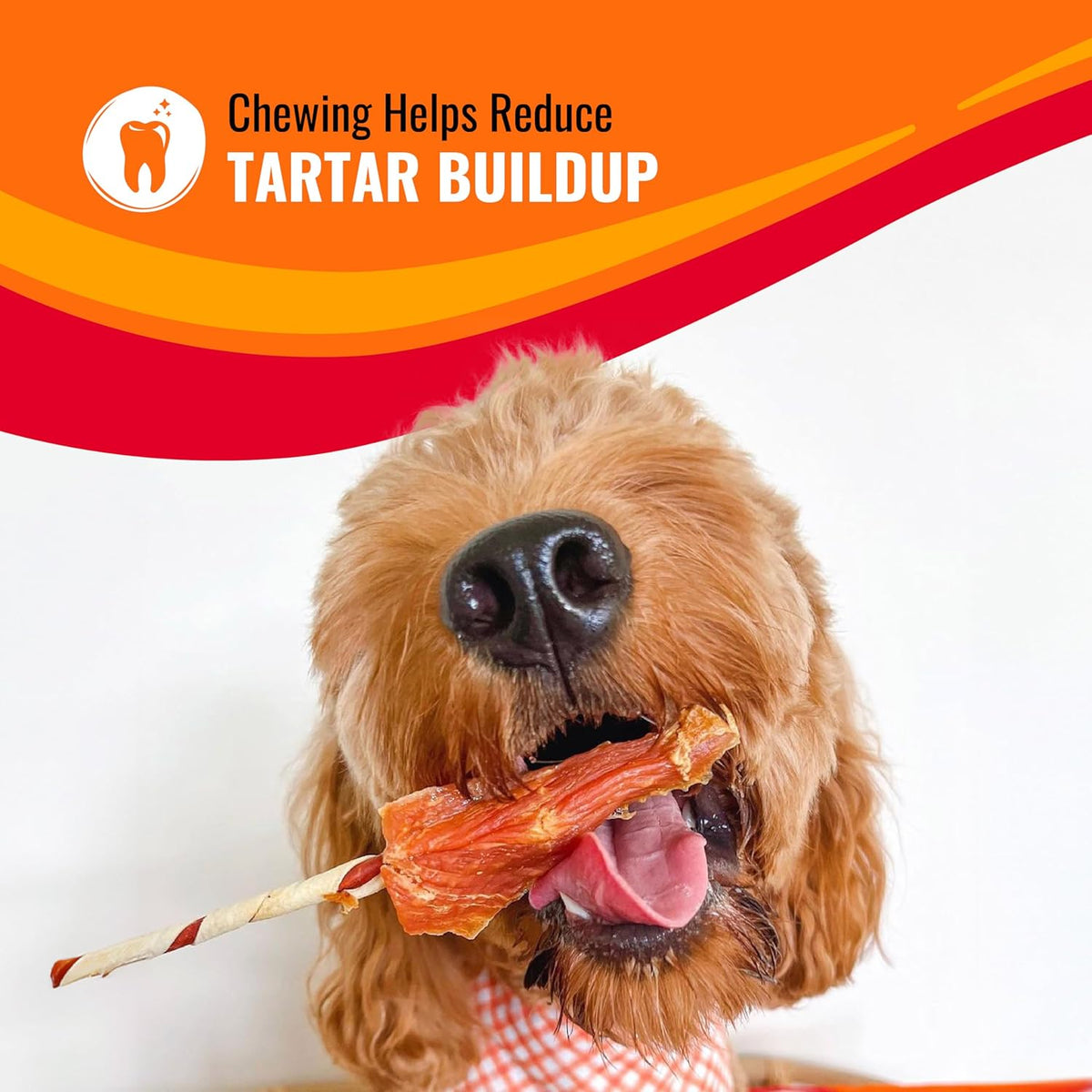 Good ‘n’ Fun Triple Flavor Kabobs Chews for All Dogs, 24 Ounces, Treat Your Dog to Chews Made from Beef Hide, Real Chicken, Pork Hide, Duck and