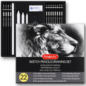 PANDAFLY Drawing Sketching Pencil Set, 22 Piece Pro Art Pencil Kit - Graphite Pencils (12B-2H), Black and White Charcoal Pencils, Charcoal Sticks