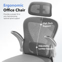 Ergonomic Office Chair M903, Computer Desk Chair with Wheels, High Back Mesh Office Chair with Adjustable Lumbar Support, Headrest, Flip-Up Armrests