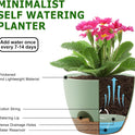 Plant Pots 10/9/8/7.5/7 Inch Self Watering Pots, Set of 5 Plastic Planters with Drainage Holes and Saucers,Plastic Flower Pots,Nursery Planting Pot