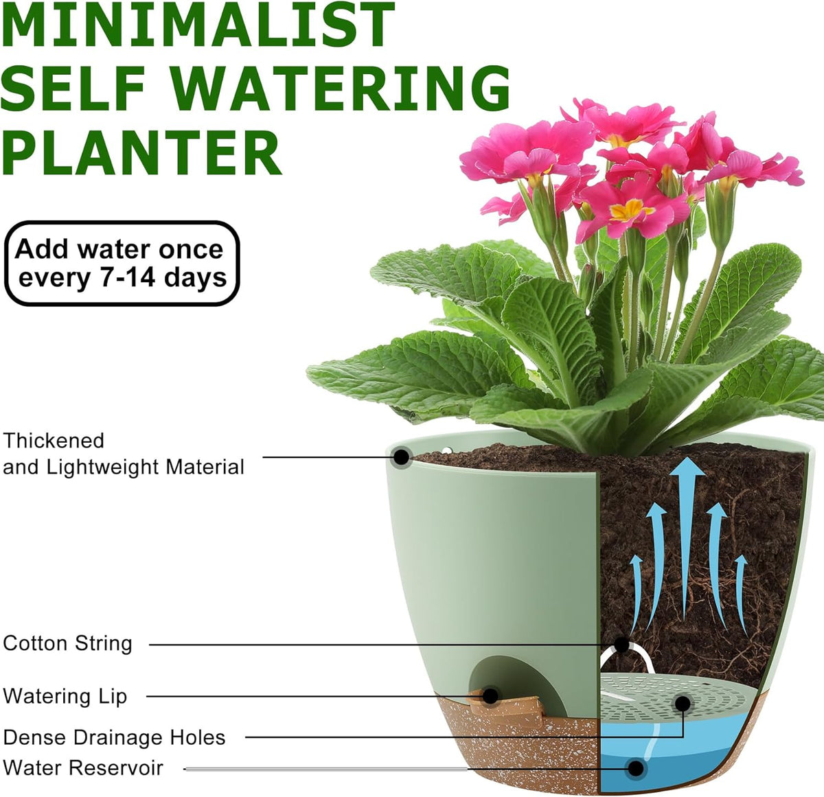 Plant Pots 10/9/8/7.5/7 Inch Self Watering Pots, Set of 5 Plastic Planters with Drainage Holes and Saucers,Plastic Flower Pots,Nursery Planting Pot