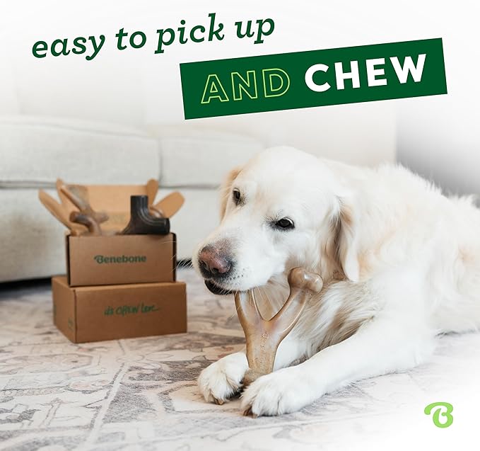 Benebone Medium 4-Pack Dog Chew Toys for Aggressive Chewers, Made in USA, 60lbs and Under