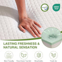 EGOHOME 10 Inch Queen Mattress, Memory Foam Mattress in a Box with Cooling Green Tea Gel, Relieve Pressure with Medium Support, CertiPUR-US