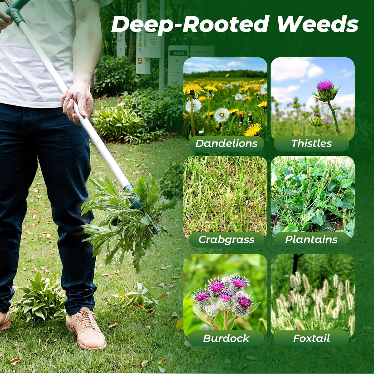 Walensee Weed Puller, Stand Up Weeder Hand Tool, Long Handle Garden Weeding Tool with 3 Claws, Hand Weed Hound Weed Puller for Dandelion, Standup