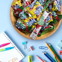 Fruit by the Foot Snacks Variety Pack - Fruit Roll-Ups, Gushers, Gluten Free Gummy Kids Snack, Good Source of Vitamin C, 16 Individually Wrapped