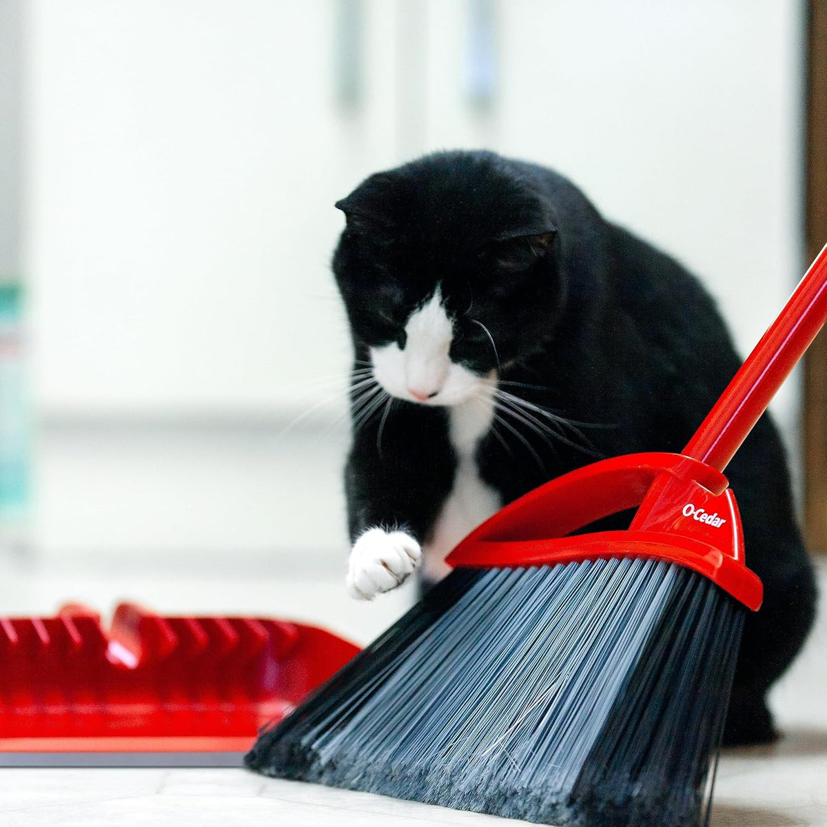O-Cedar Pet Pro Broom with Step-On Dustpan | Remove 99% with One Sweep | DustPan Removes 3 Times More Pet Hair | Quiet Cleaning Tool for Cat and Dog