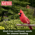 Kaytee Wild Bird (No Mess or Waste Free) Food Seed Blend For Blue Jays, Woodpeckers, Juncos, Cardinals, Grosbeaks, Sparrows, and Finches, 10 Pound