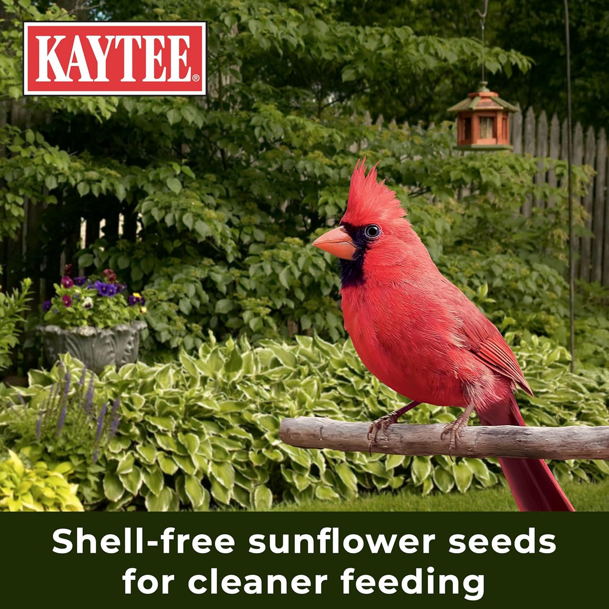 Kaytee Wild Bird (No Mess or Waste Free) Food Seed Blend For Blue Jays, Woodpeckers, Juncos, Cardinals, Grosbeaks, Sparrows, and Finches, 10 Pound