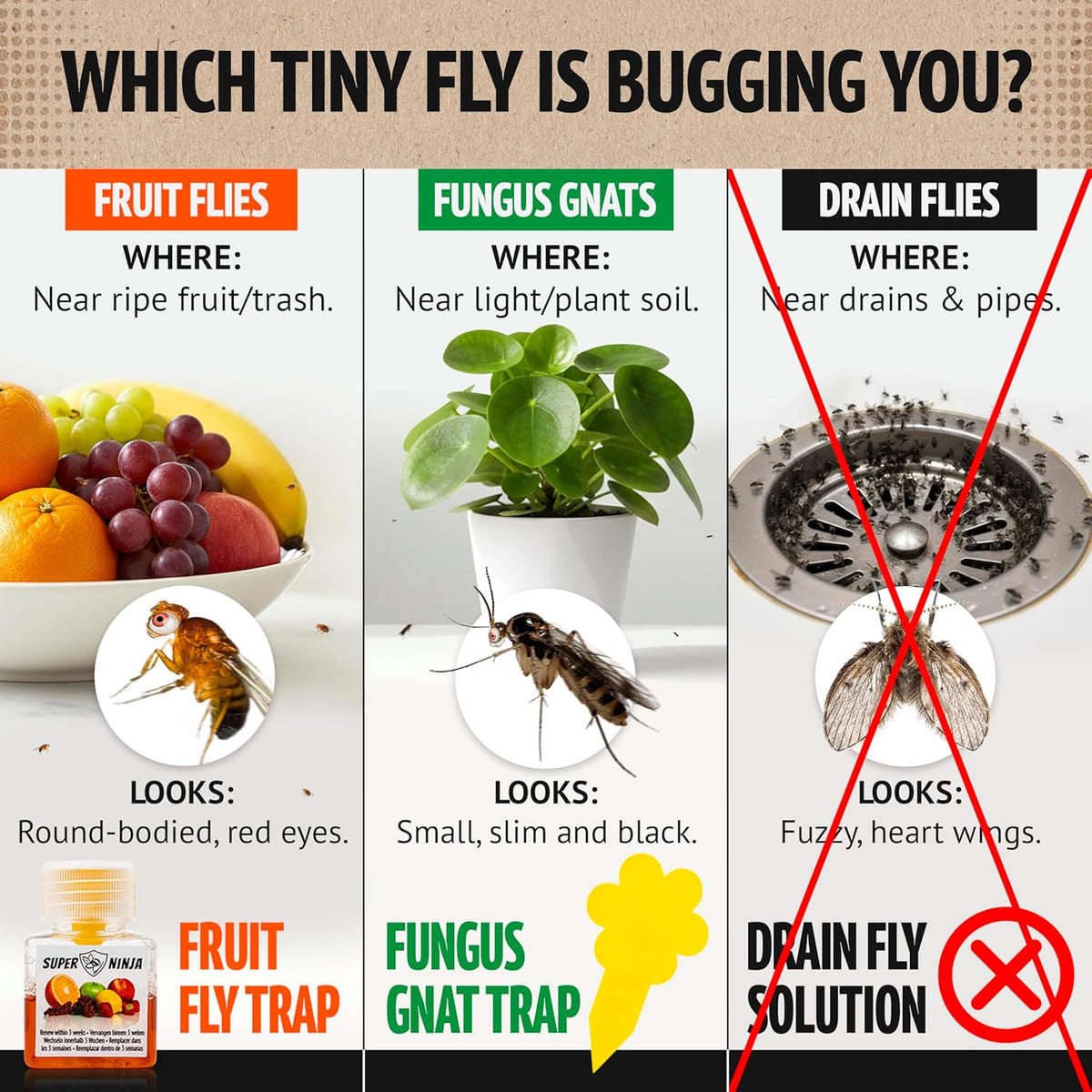 Super Ninja Fruit Fly Traps for Indoors - 4 Pack, Highly Effective Fruit Fly Catcher for Indoor Use for Home & Kitchen, Up to 3 Weeks of Performance