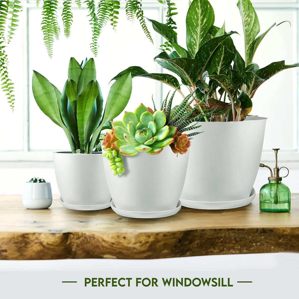Utopia Home Plant Pots Indoor with Drainage Holes – Set of 5 White Plastic Flower Pots (7/6.6/6/5.3/4.8 Inch) – Modern Planters for Indoor Plants