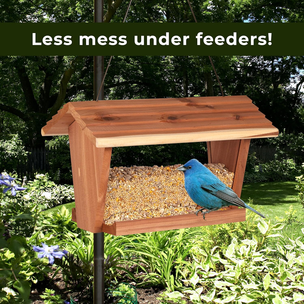 Kaytee Wild Bird (No Mess or Waste Free) Food Seed Blend For Blue Jays, Woodpeckers, Juncos, Cardinals, Grosbeaks, Sparrows, and Finches, 10 Pound